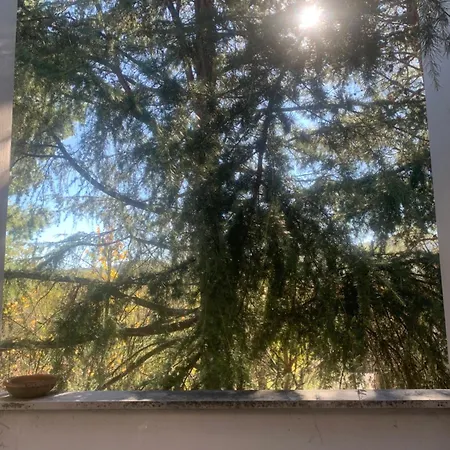 Irim Accommodatie bij particulieren